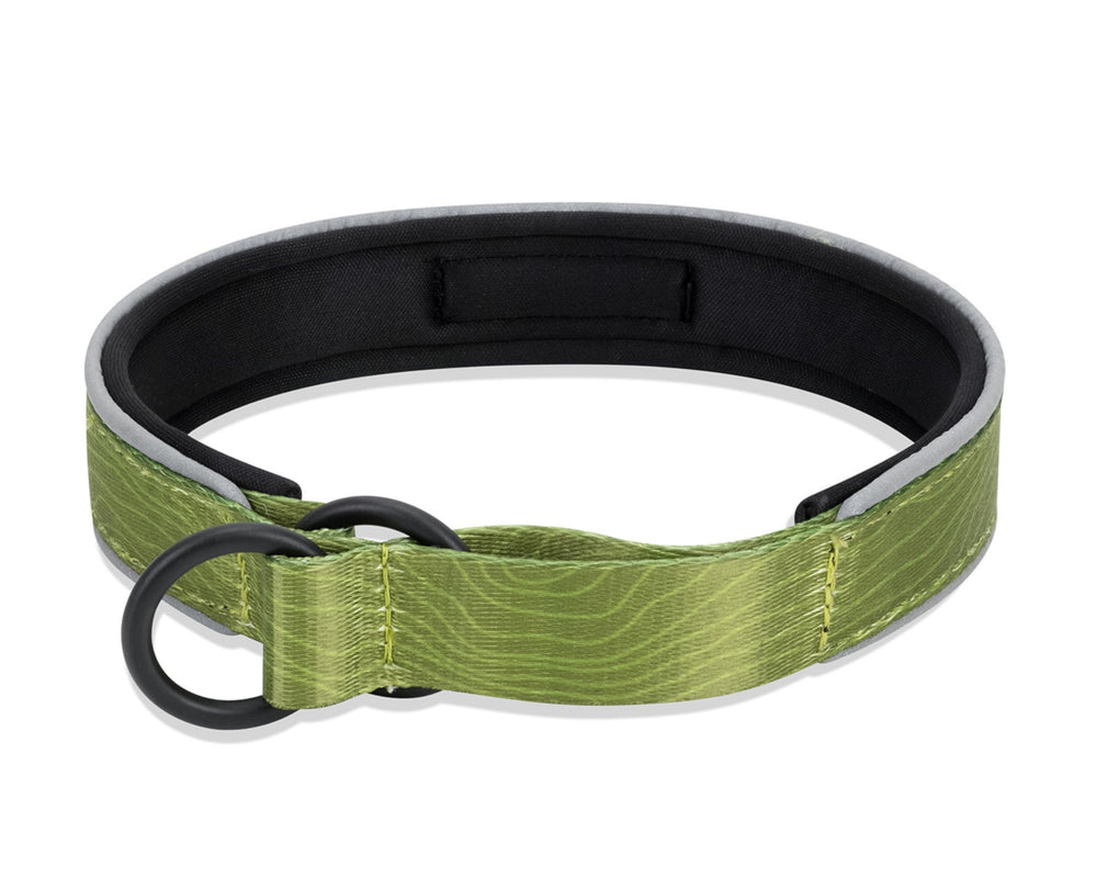 Closeup of OllyDog collar showing neoprene padding for soft comfort.