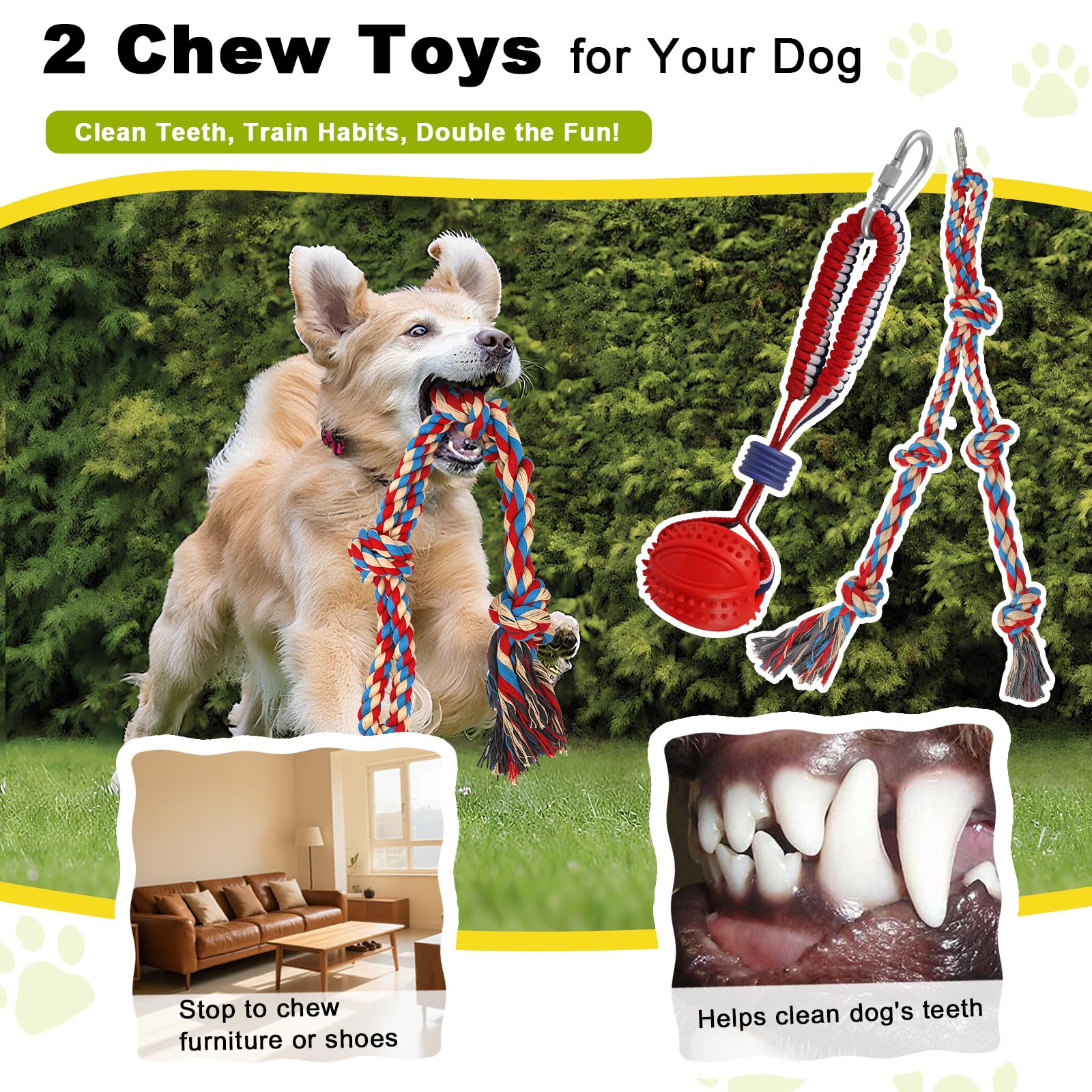 Olpchee chew ball adds engaging dental friendly entertainment during tug sessions