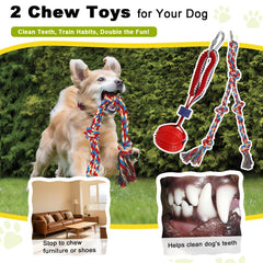 Olpchee chew ball adds engaging dental friendly entertainment during tug sessions