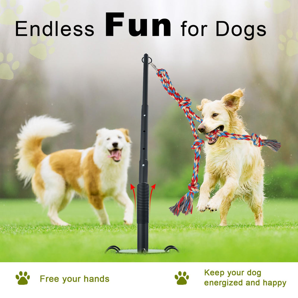 Olpchee easy setup play system saves time and keeps dogs engaged