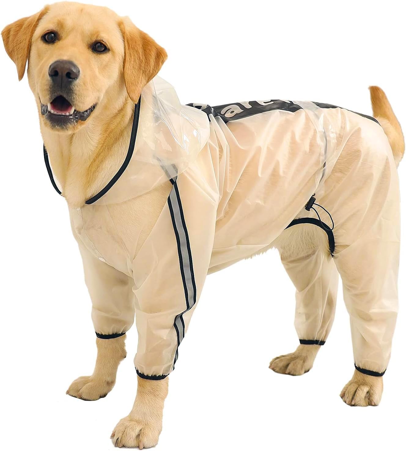 Olsa dog raincoat with reflective strips for enhanced nighttime visibility