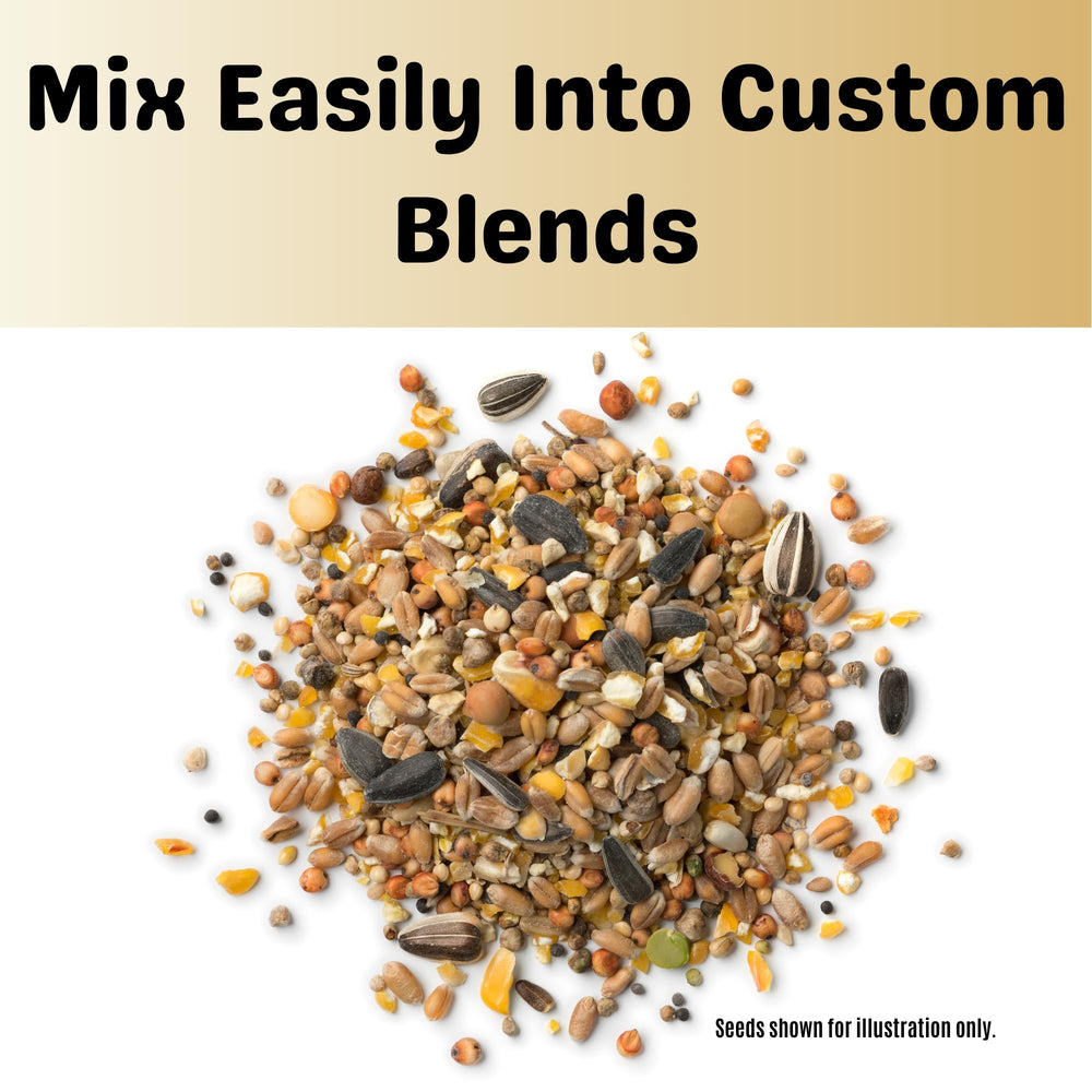 Olympus Myco USA-sourced millet supports local farmers while delivering nutrient-rich feed for birds.