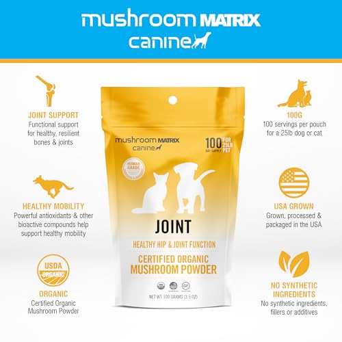Mushroom Matrix organic powder measuring scoop for easy daily dosing.