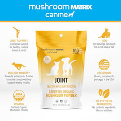 Mushroom Matrix organic powder measuring scoop for easy daily dosing.