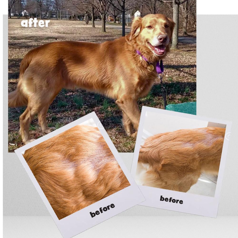 OMEGA-CAPS ES bottle helps show a glossy coat after omega-3 supplementation.