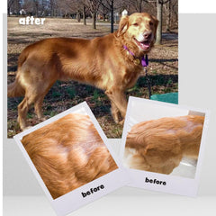 OMEGA-CAPS ES bottle helps show a glossy coat after omega-3 supplementation.