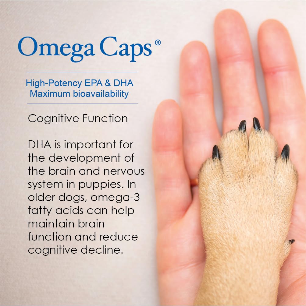 Vet-formulated Omega Caps ES packaging conveys quality and safety.