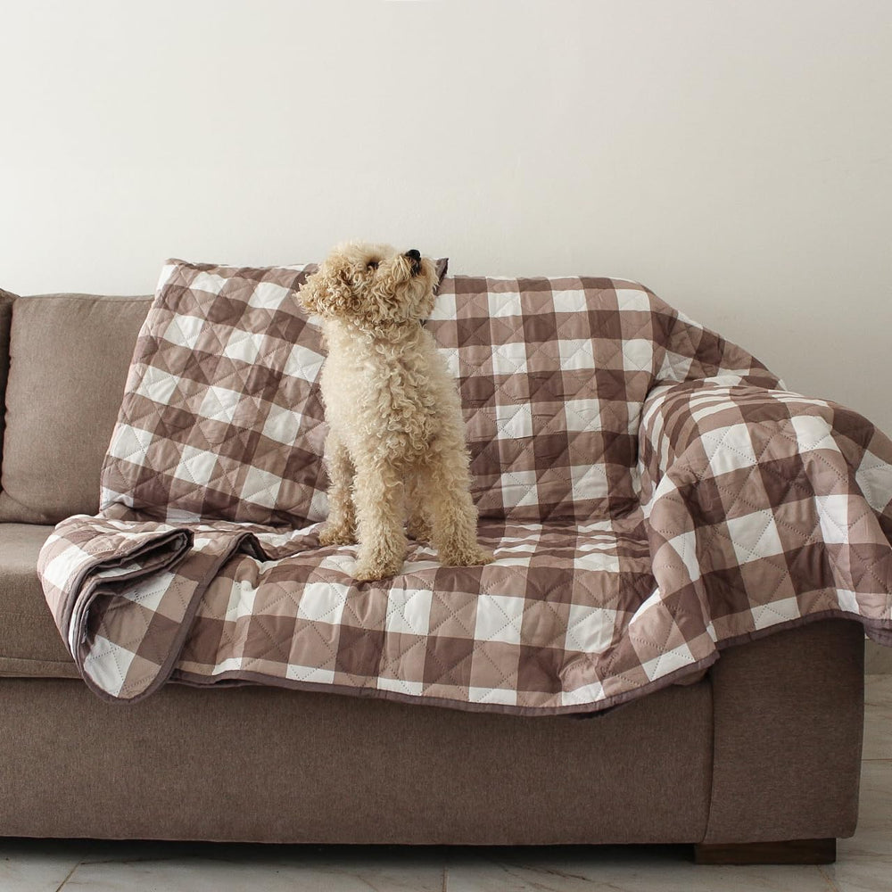 Omilu waterproof dog blanket couch-protector keeps furniture dry during playful pets.