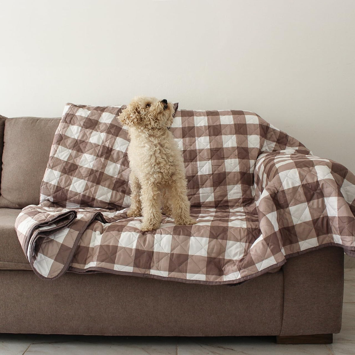 Omilu waterproof dog blanket couch-protector keeps furniture dry during playful pets.