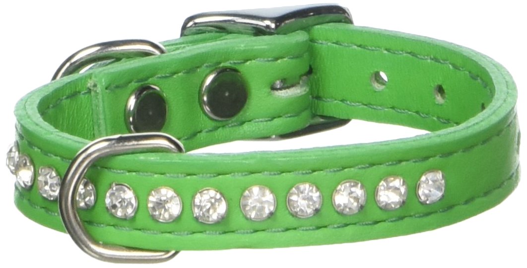 OmniPet Signature Leather Crystal Dog Collar in emerald solid grain leather for stylish daily wear