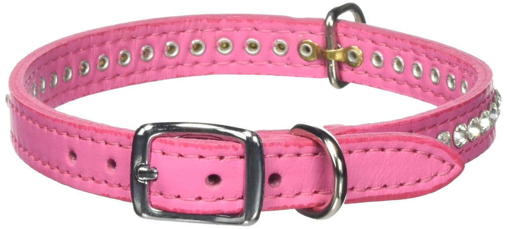 OmniPet Signature Leather Crystal Dog Collar chrome buckle and D-ring ready for secure daily walks