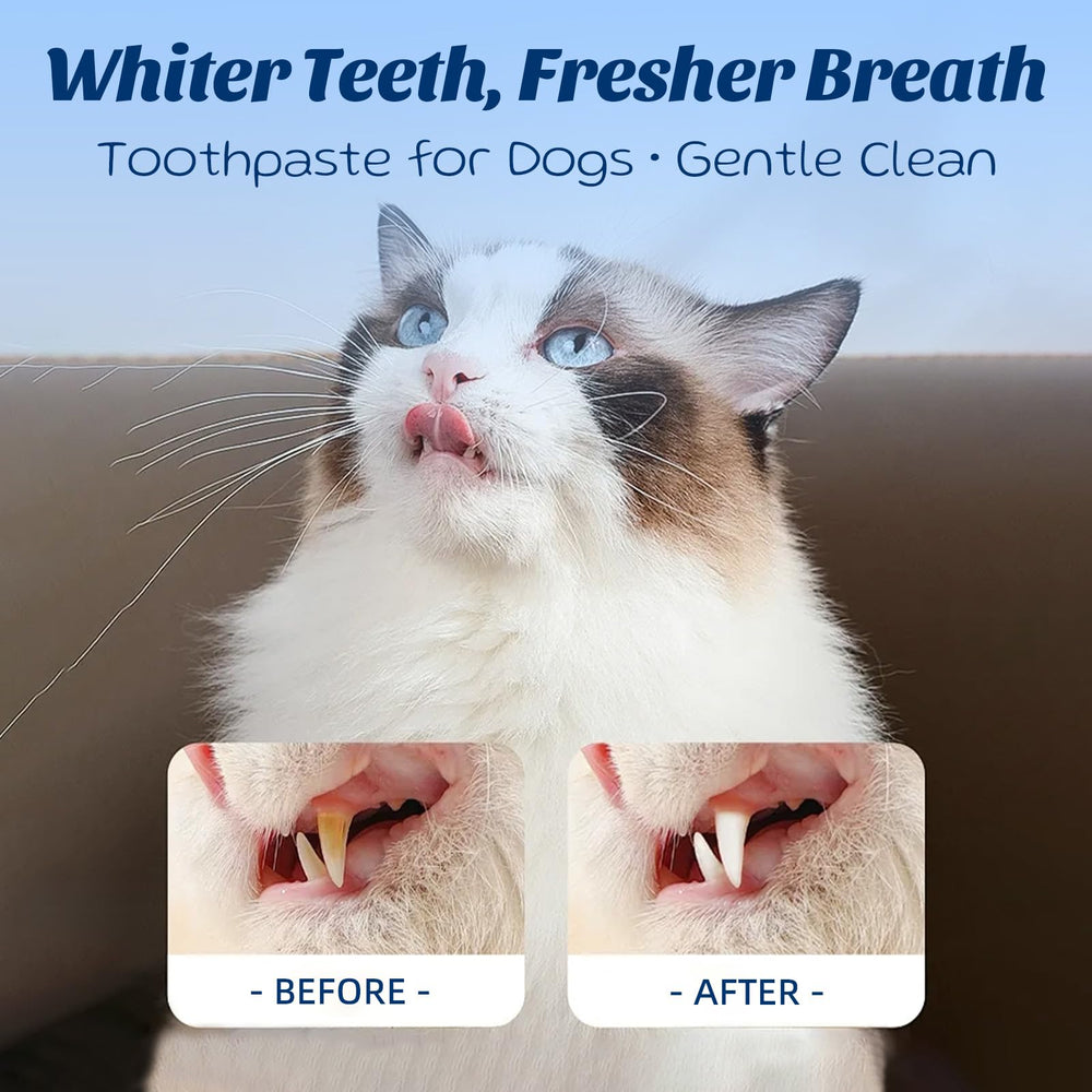 OMYGYM coconut-chicken flavor label visible, inviting pets to brushing routine.