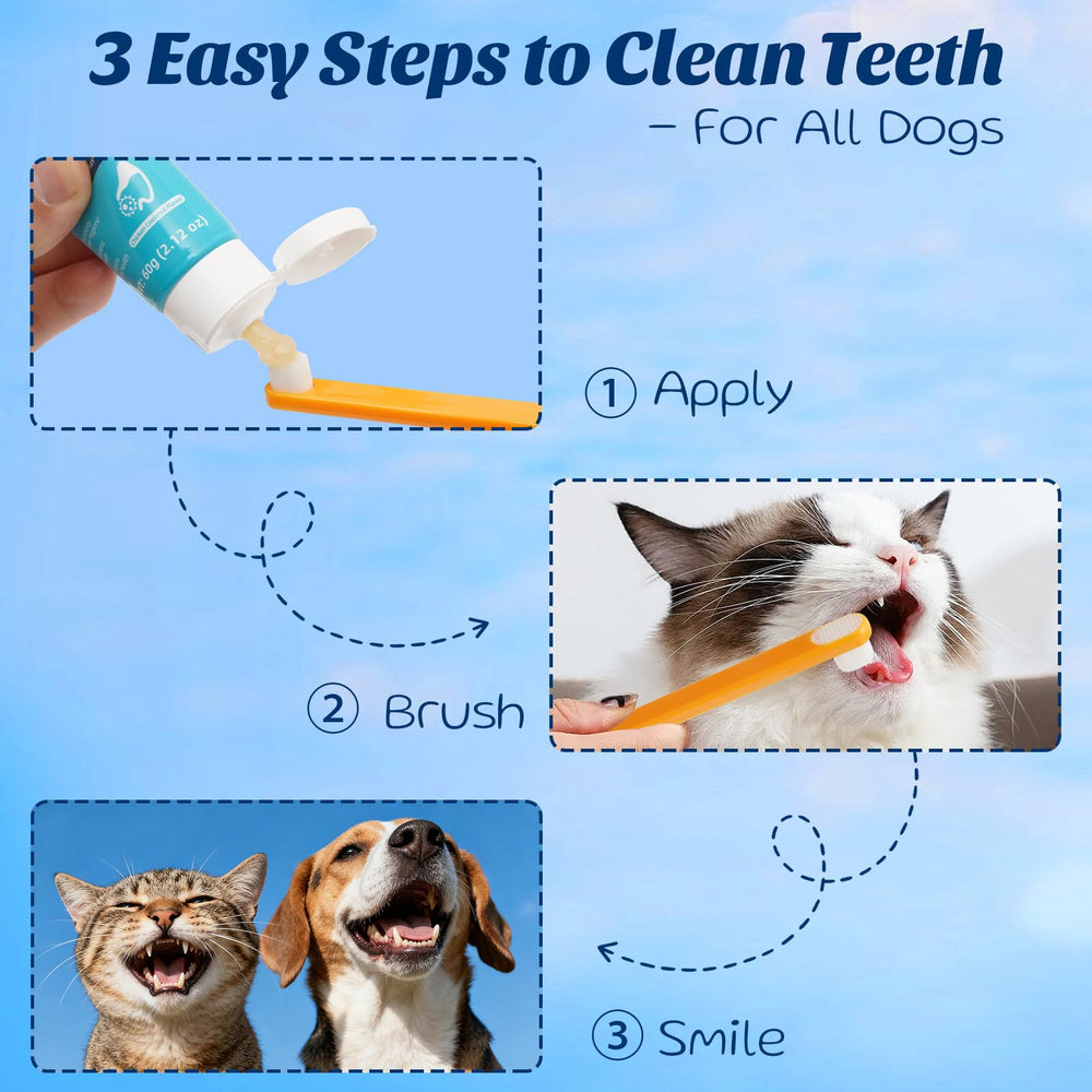 OMYGYM fresh-breath concept graphic emphasizes improved oral health and confidence.