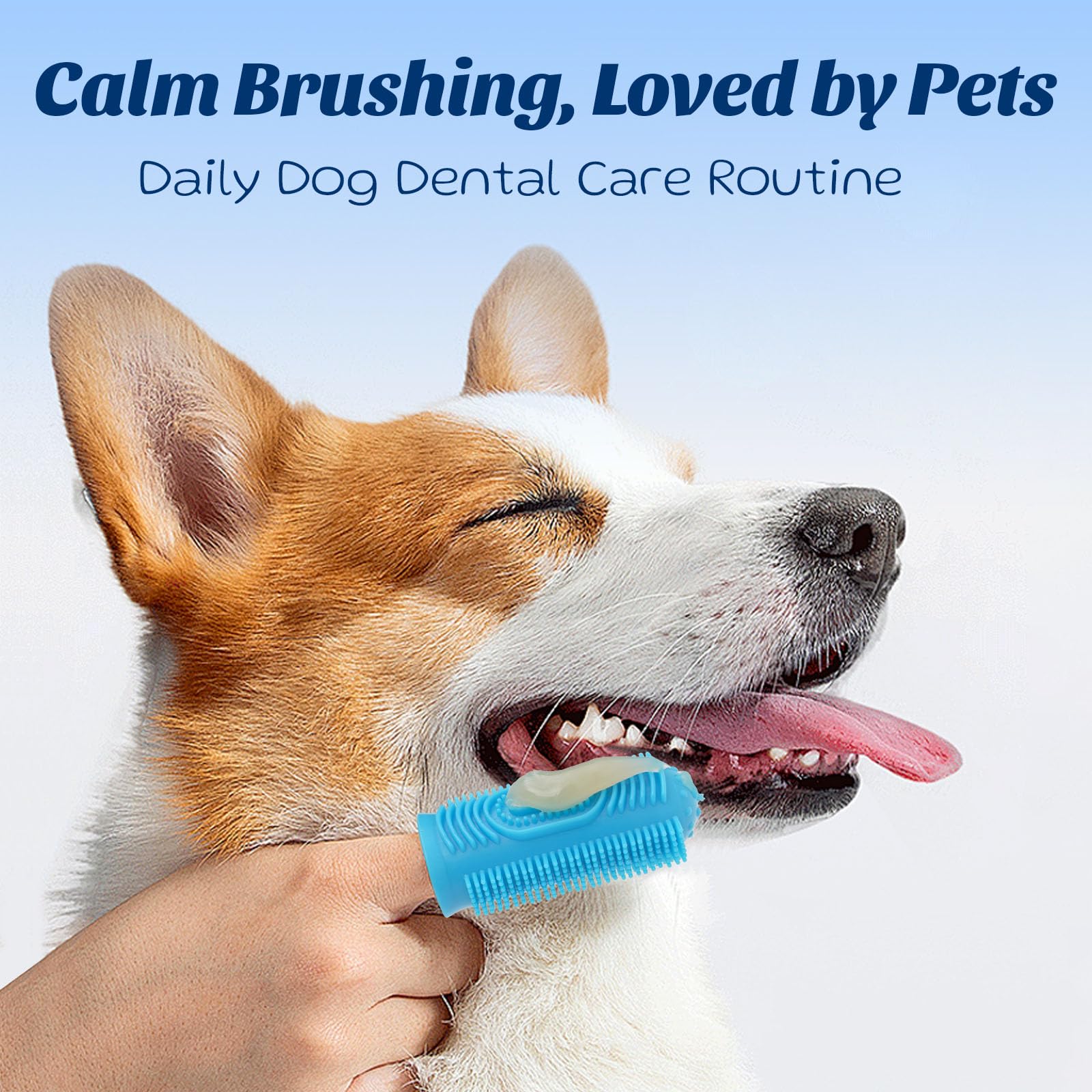 OMYGYM paw balm jar showcases all-season protection and paw/nose soothing.