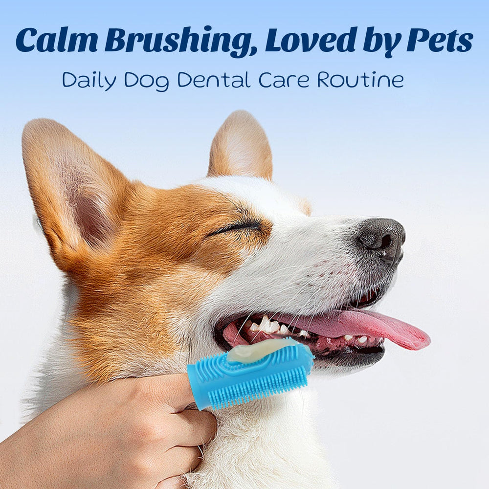 OMYGYM paw balm jar showcases all-season protection and paw/nose soothing.