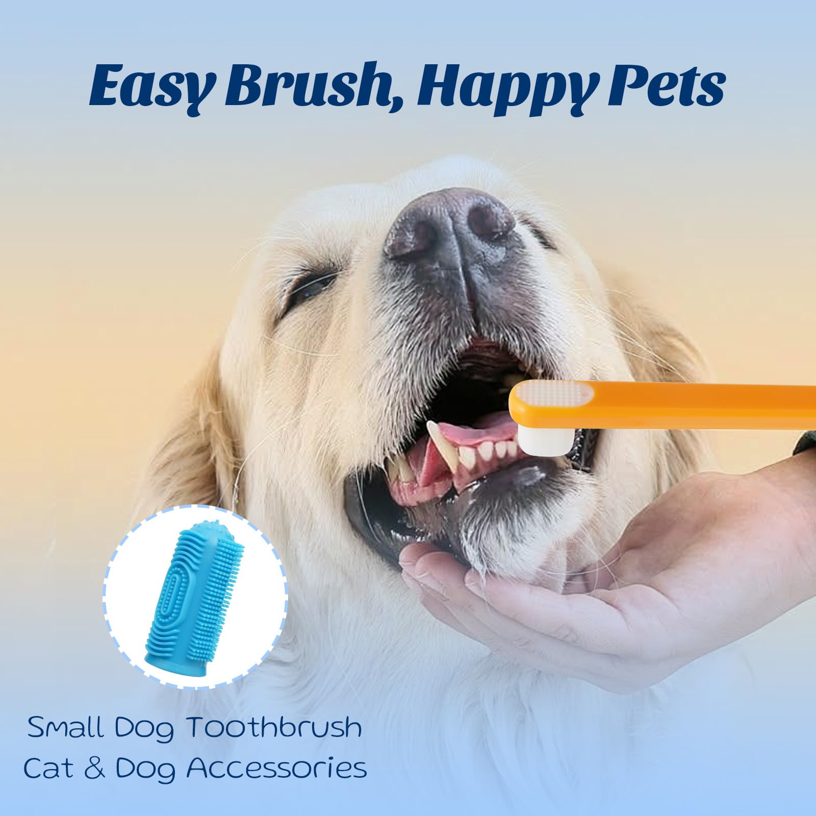 OMYGYM pet toothpaste kit flatlay highlighting complete dental care for puppies and adults.