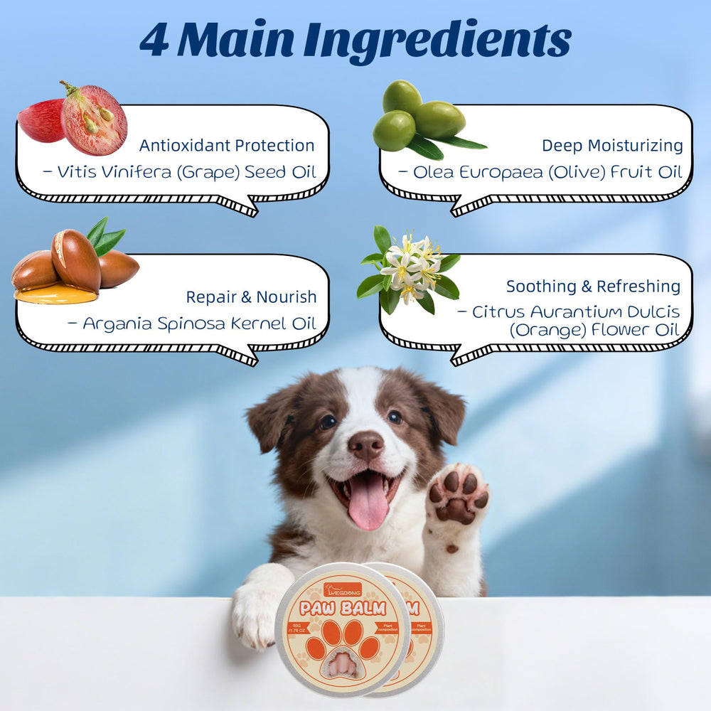OMYGYM puppy teeth care setup demonstrates simple brushing routine for new owners.