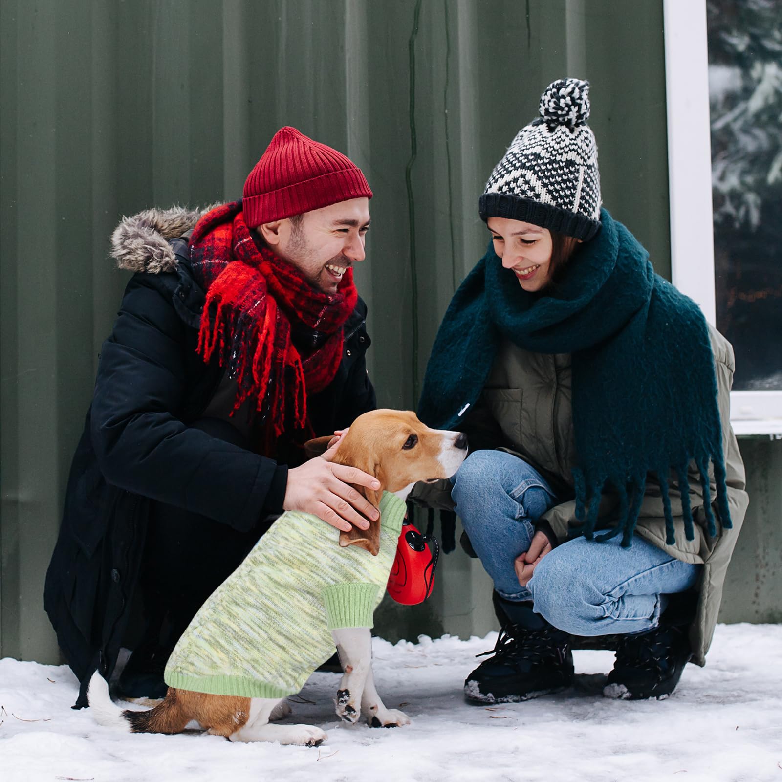 On The Roll green turtleneck dog sweater worn by a dog for cozy daily wear