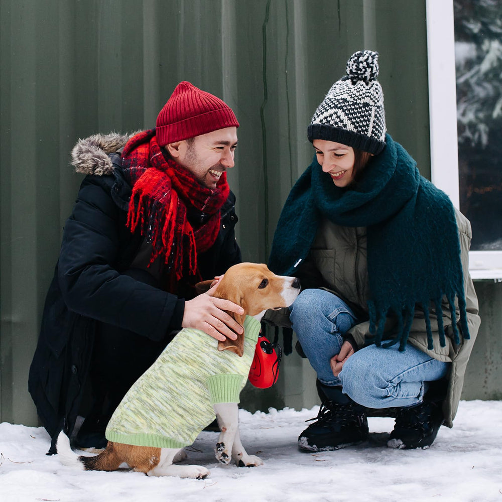 On The Roll green turtleneck dog sweater worn by a dog for cozy daily wear