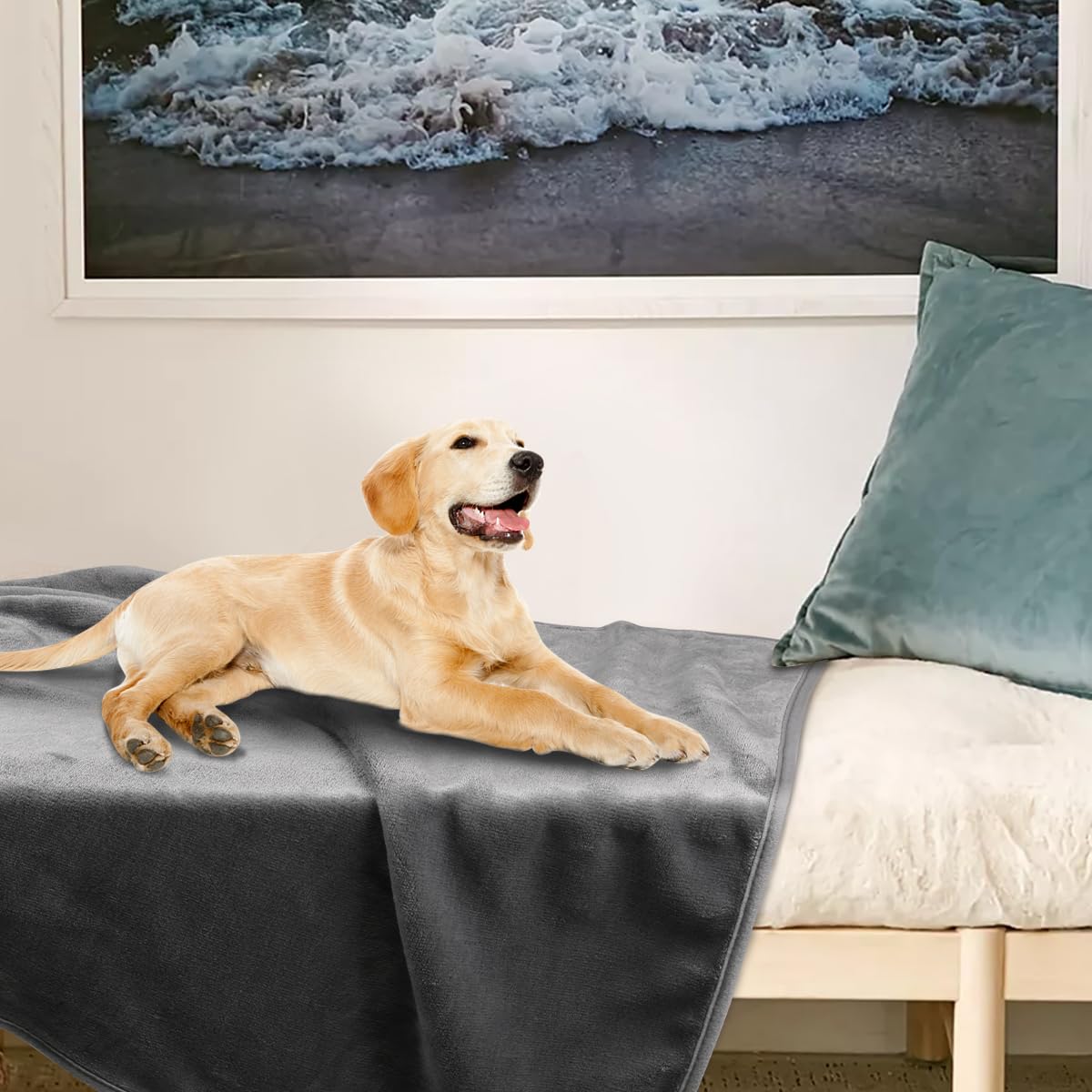 Onarway 4-pack blanket set; convenient indoors and travel comfort