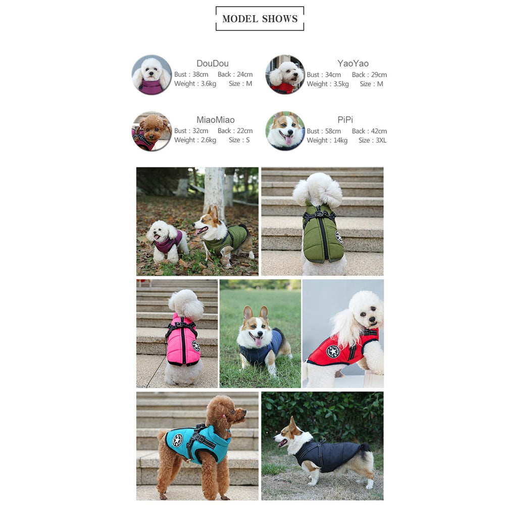 Oncpcare cat and small dog jacket size chart helps you pick a comfortable fit.