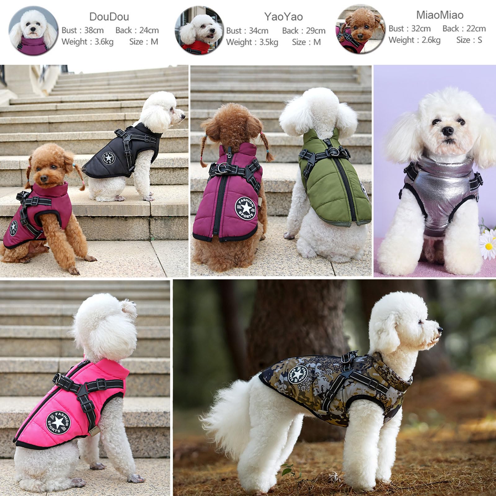 Oncpcare Aqua coat keeps small pets warm during outdoor winter outings.