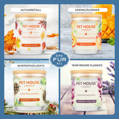 One Fur All Bamboo Watermint candle burning reveals natural cotton wick for a steady, clean burn.