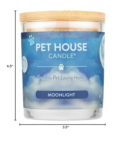 One Fur All Moonlight candle enhancing living room ambiance with a refined scent.