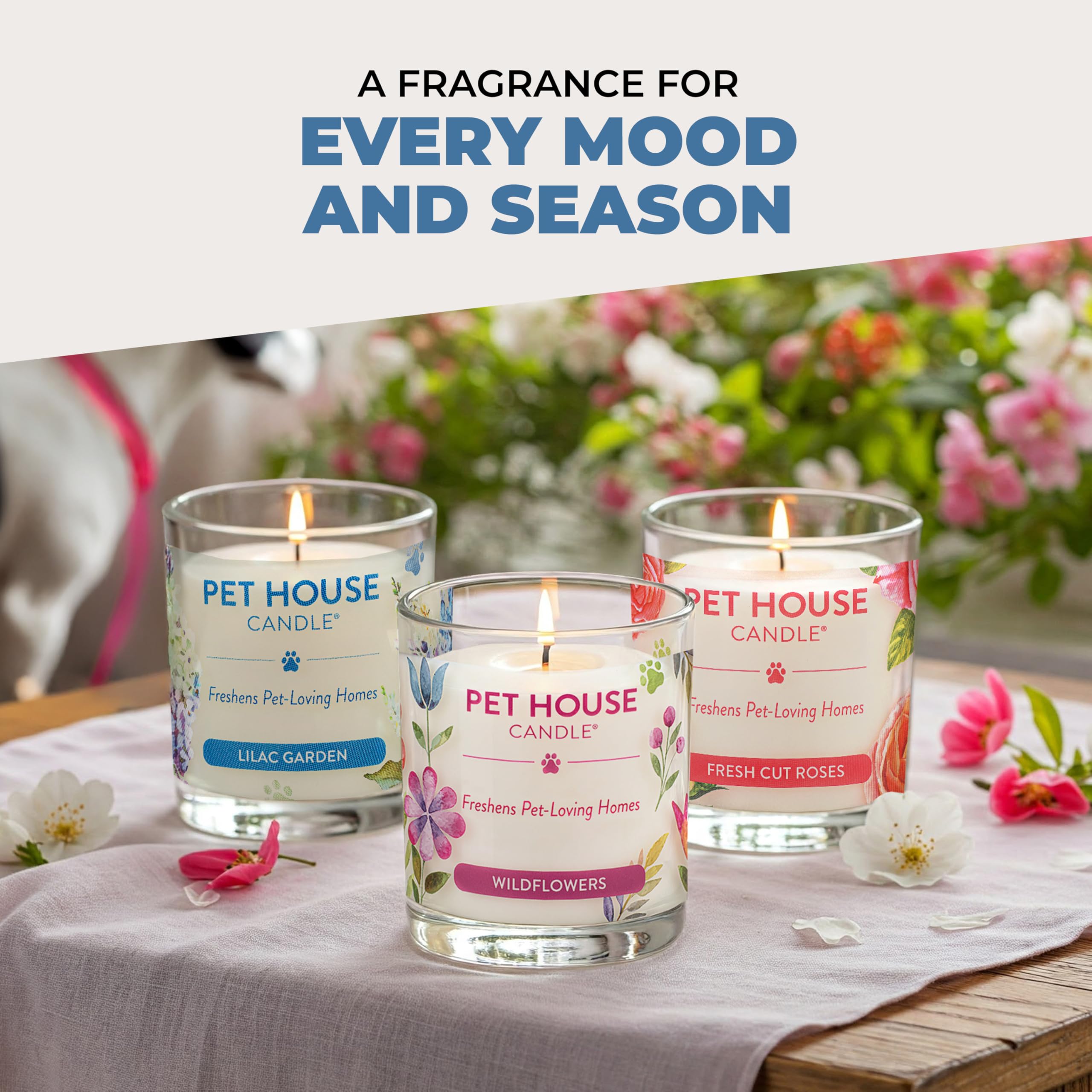 One Fur All Moonlight paraffin-free candle offering healthier home fragrance option.