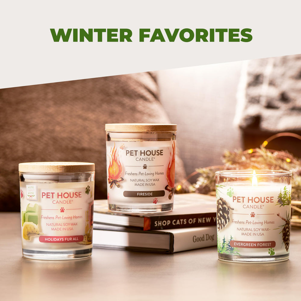 One Fur All pet house candle 2-pack bedroom ambiance with clean burn and cozy fragrance