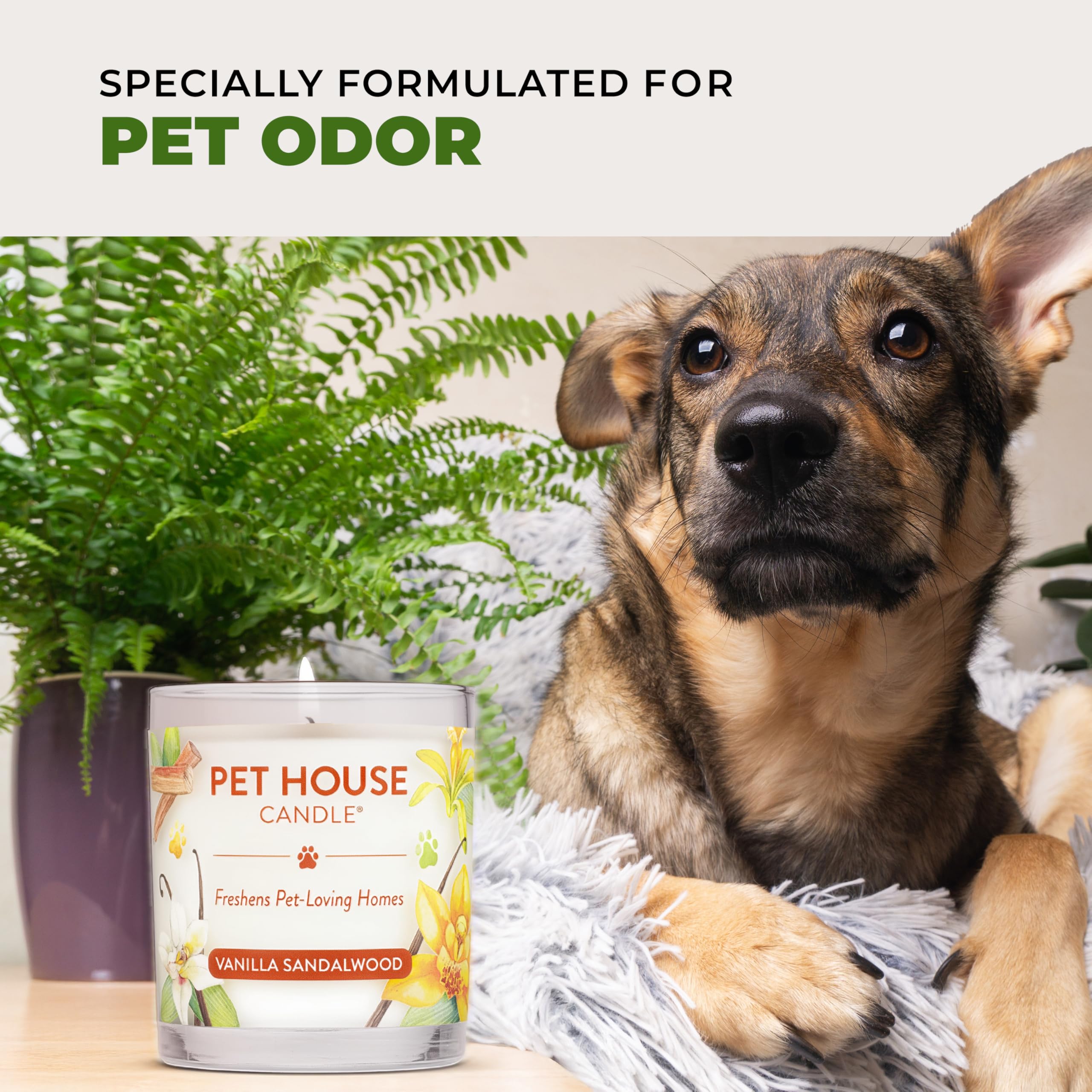 One Fur All pet house candle 2-pack living room setup with warm glow and pet-friendly scent
