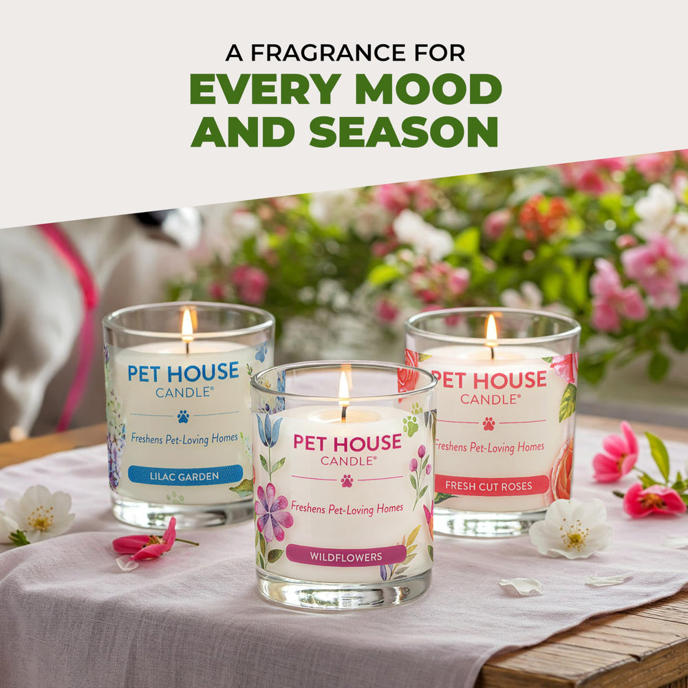 One Fur All pet house candle 2-pack made in the USA emphasizes quality and dye-free formula