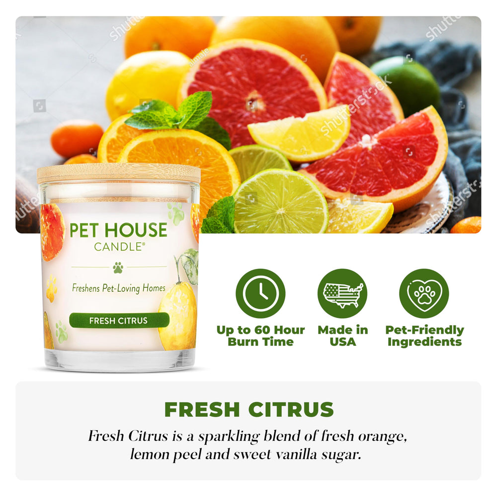 One Fur All pet house candle 2-pack wick close-up highlighting clean burn and steady fragrance