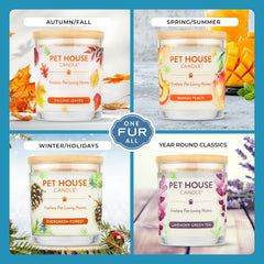 One Fur All Pet House Candle plant-based soy wax burns clean in home