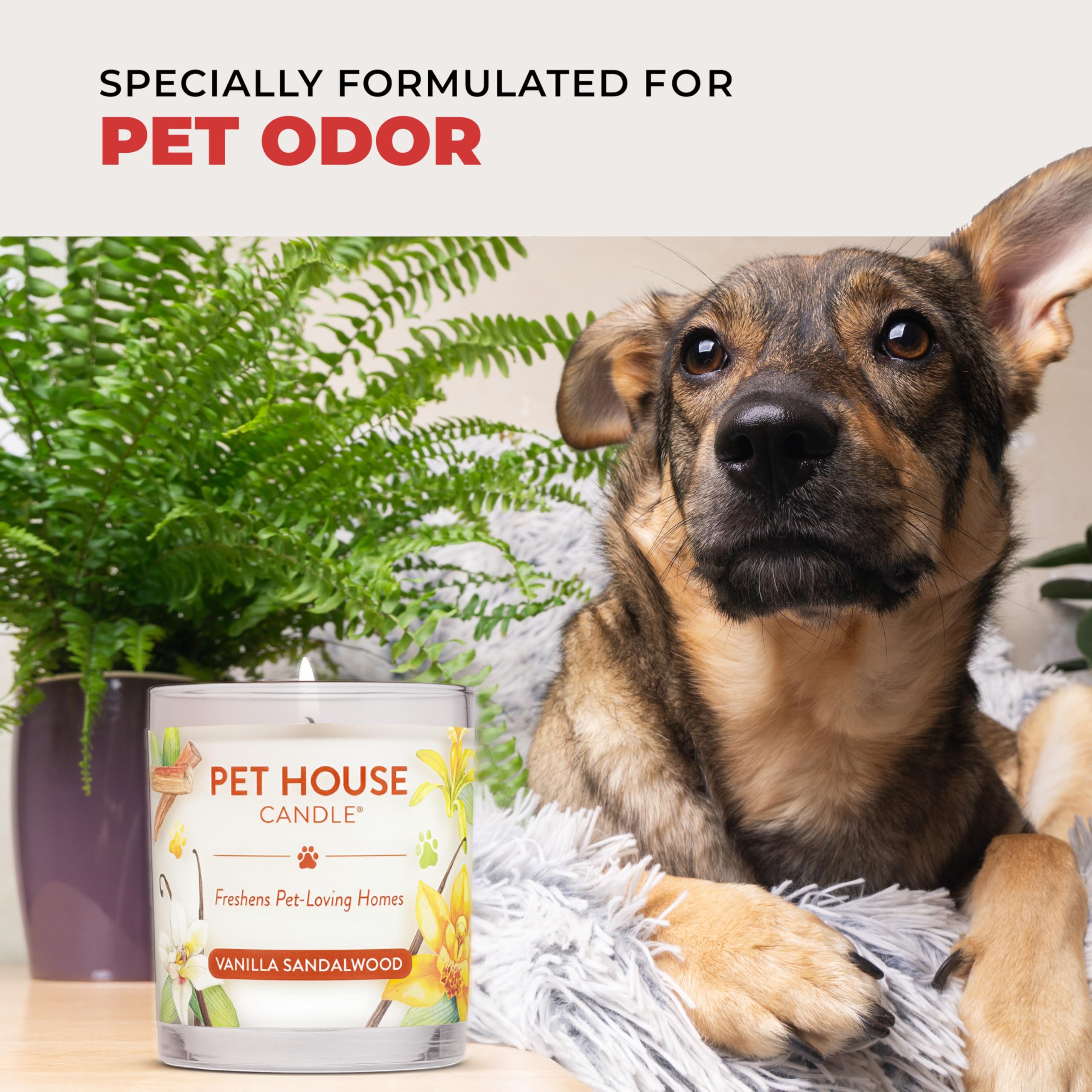 One Fur All vanilla creme brulee candle in kitchen illustrates long burn time and fragrance diffusion.