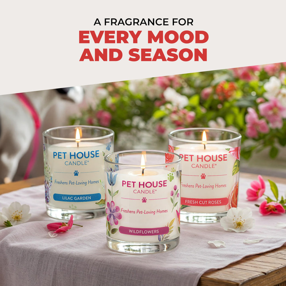 One Fur All vanilla creme brulee candle USA-made design emphasizes quality and safety standards.
