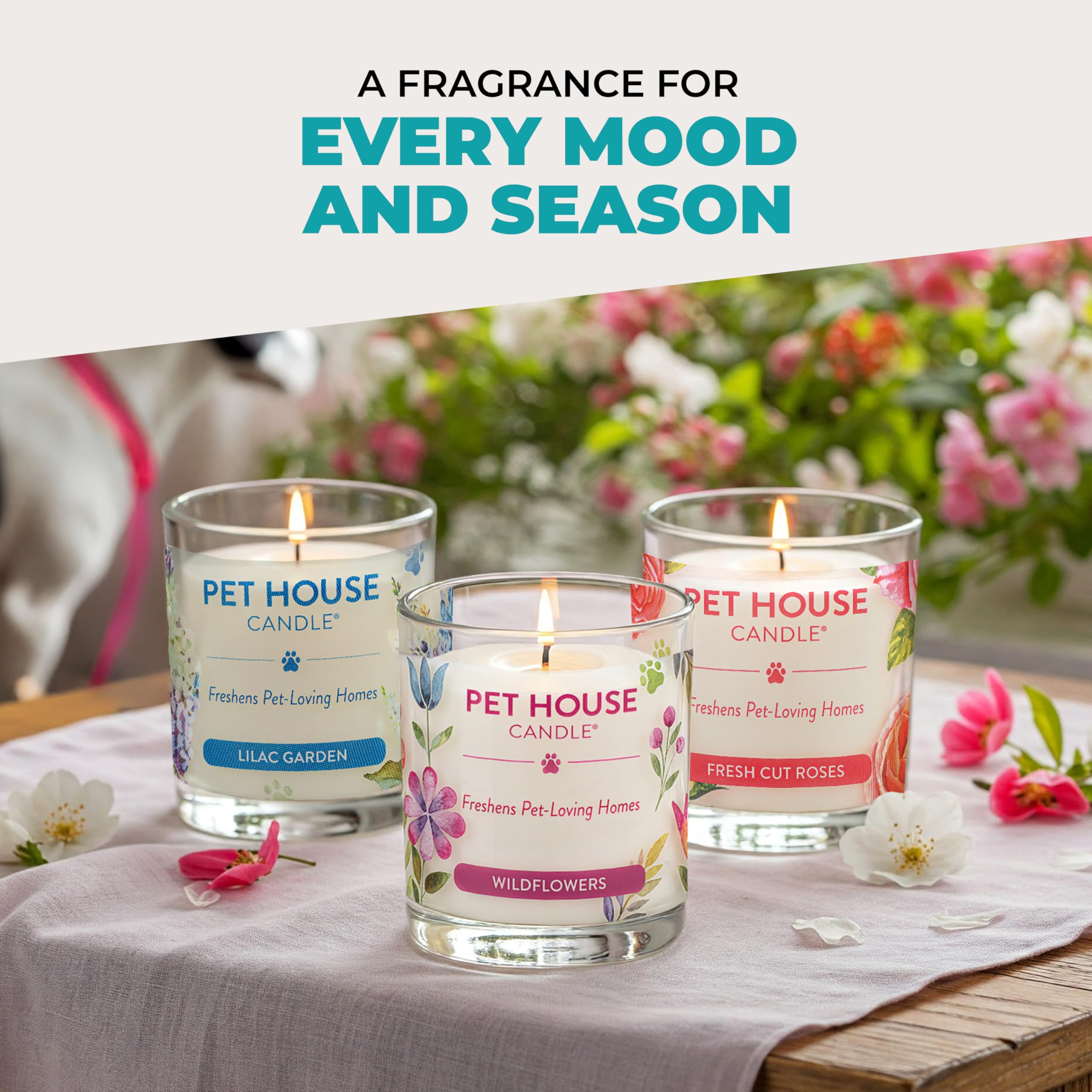 One Fur All Pet House Candles Mediterranean Sea interior use scene shows fresh ambiance
