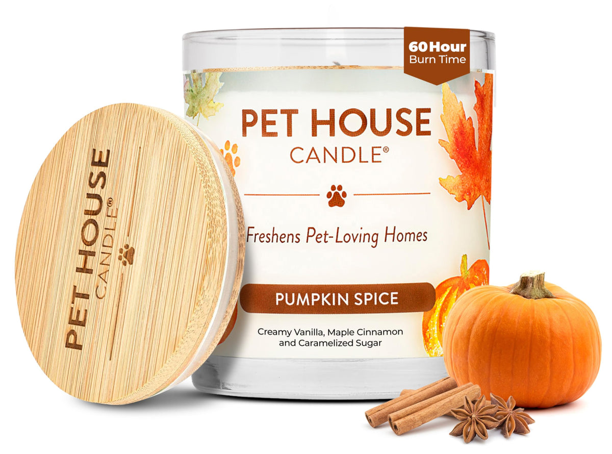One Fur All pet house fall candle pumpkin spice label glows to create a cozy, odor-free room.
