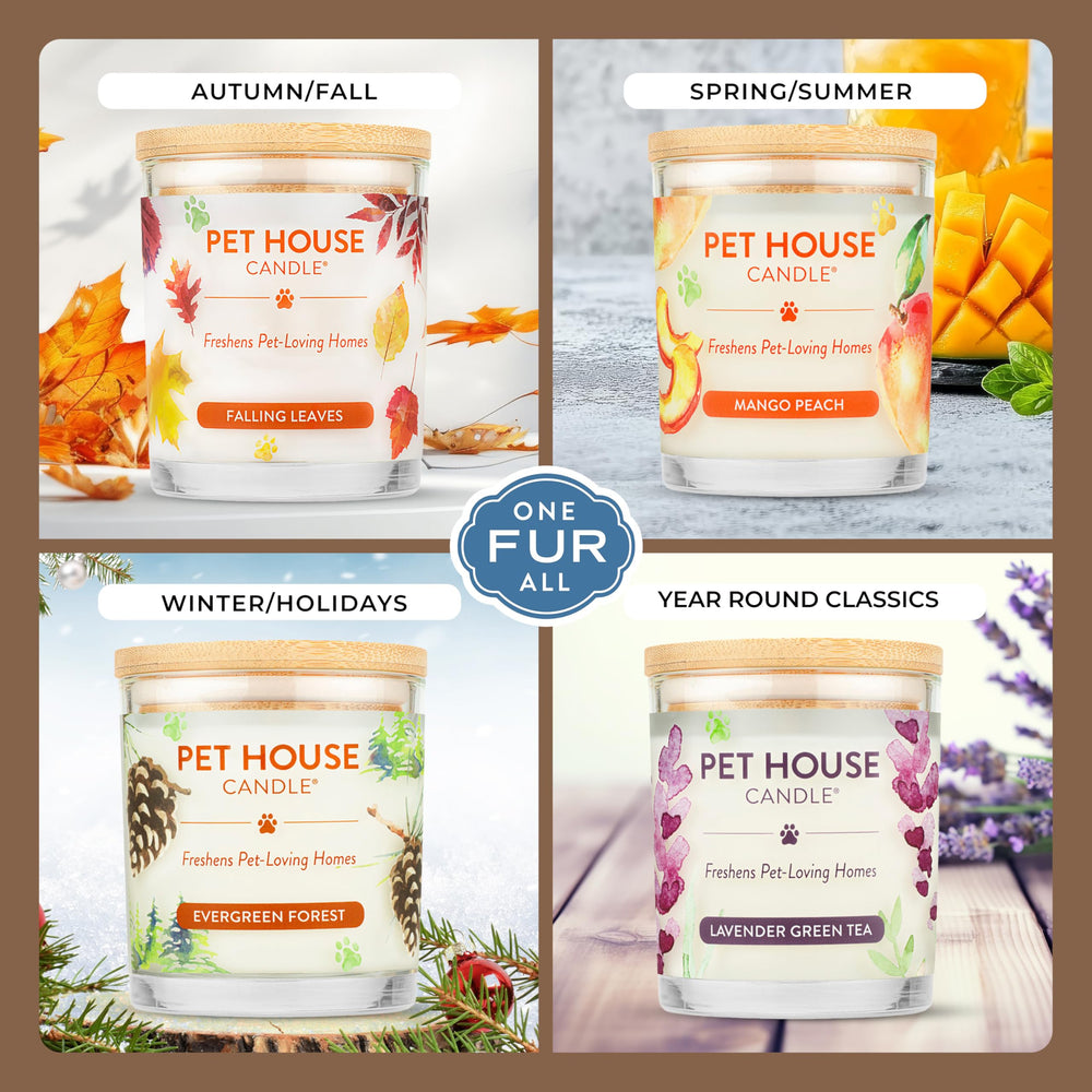 One Fur All pet house fall candle in jar ready to infuse autumn aroma.