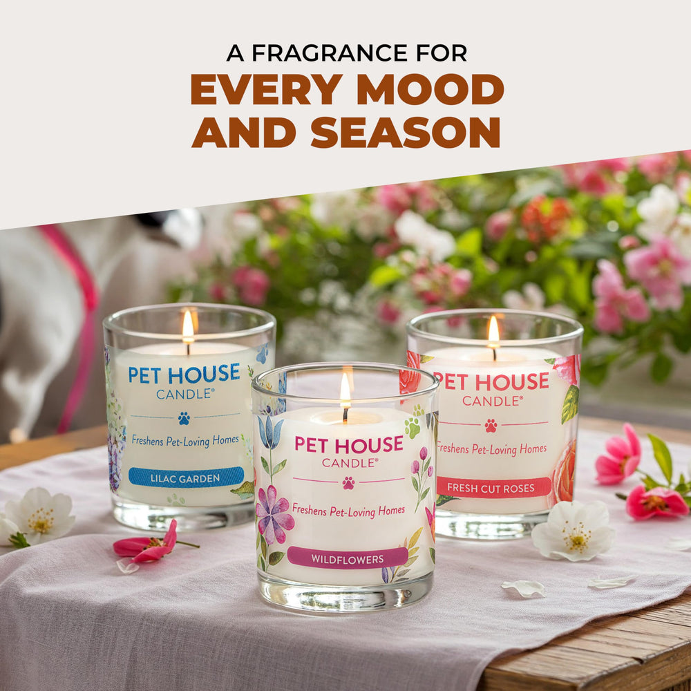 One Fur All 60-hour burn candle lighting a cozy bedroom ambiance.