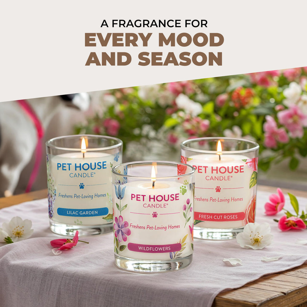 One Fur All fall candle features wood-spice notes for autumn gatherings.