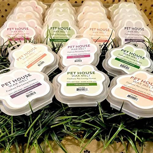 One Fur All Pet House Hollyberry wax melts warm-ambiance image suggests cozy holiday atmosphere