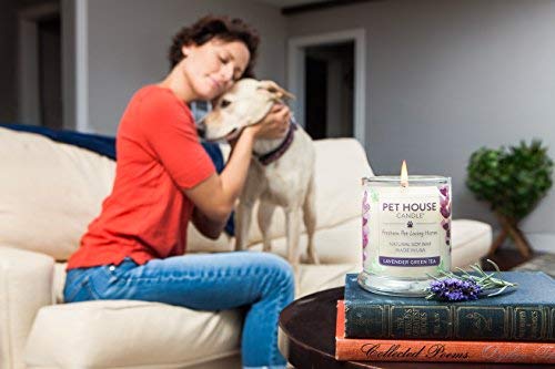 Lit candle in a cozy room shows inviting, balanced scent.