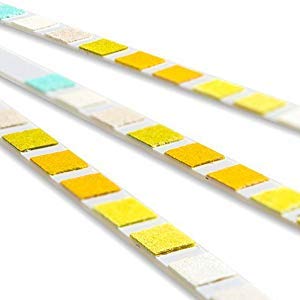 One Step Pet Urine Strips home-use solution for early health insights