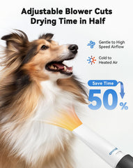 oneisall adjustable-speed-temperature blower for customizable drying comfort