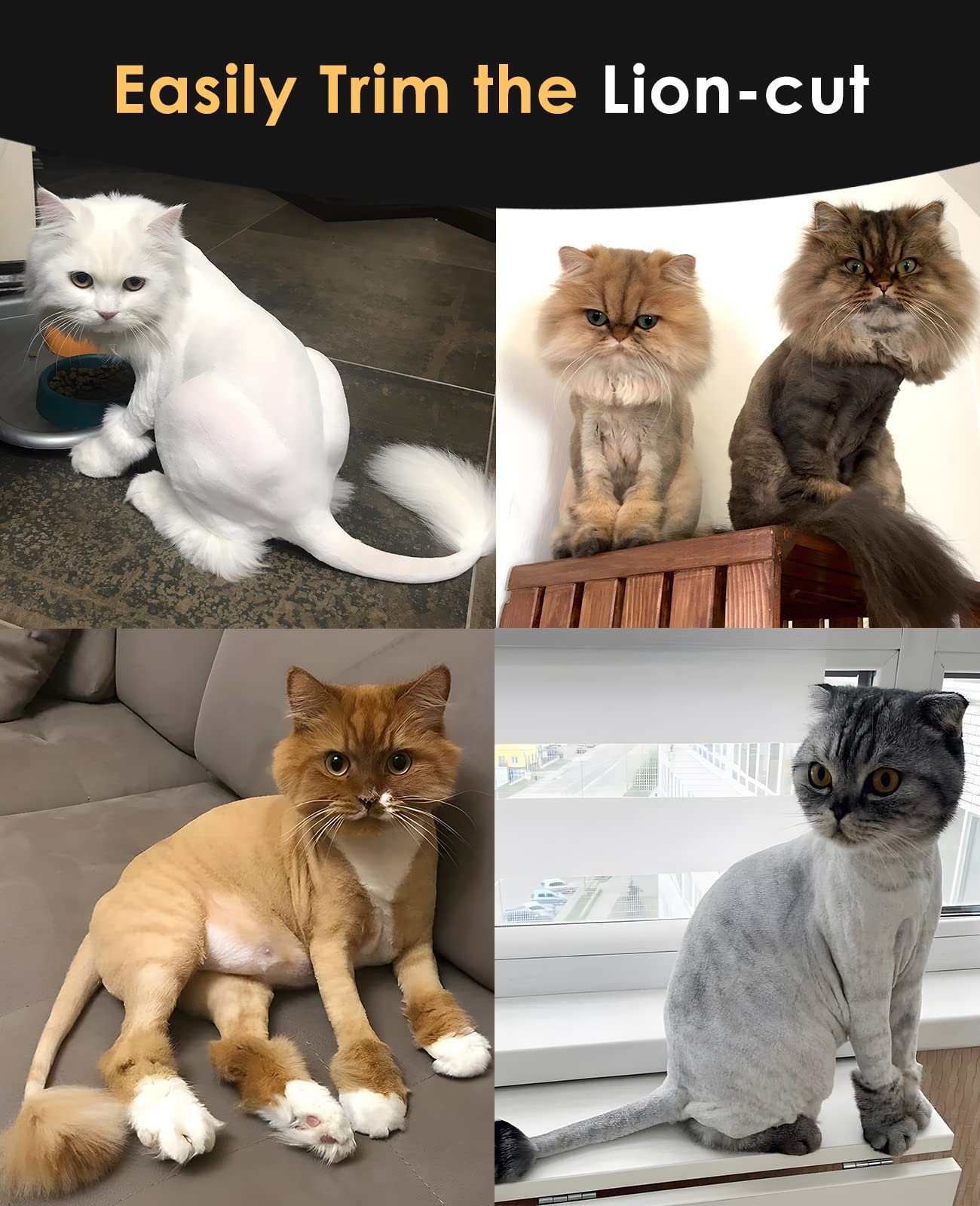 Oneisall cat grooming clipper with 6 guards for versatile lengths
