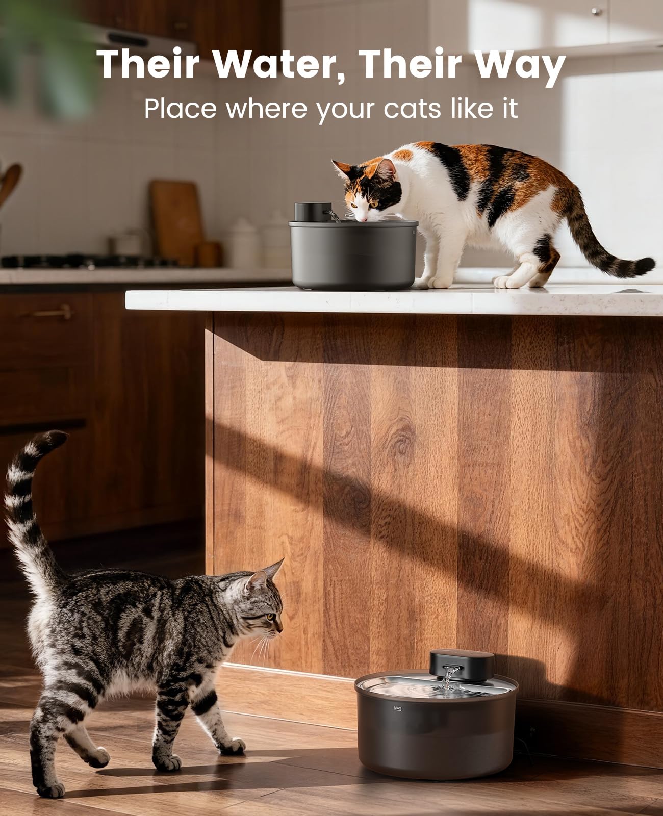 oneisall cat water fountain 5-layer filter photo highlighting filtration stages