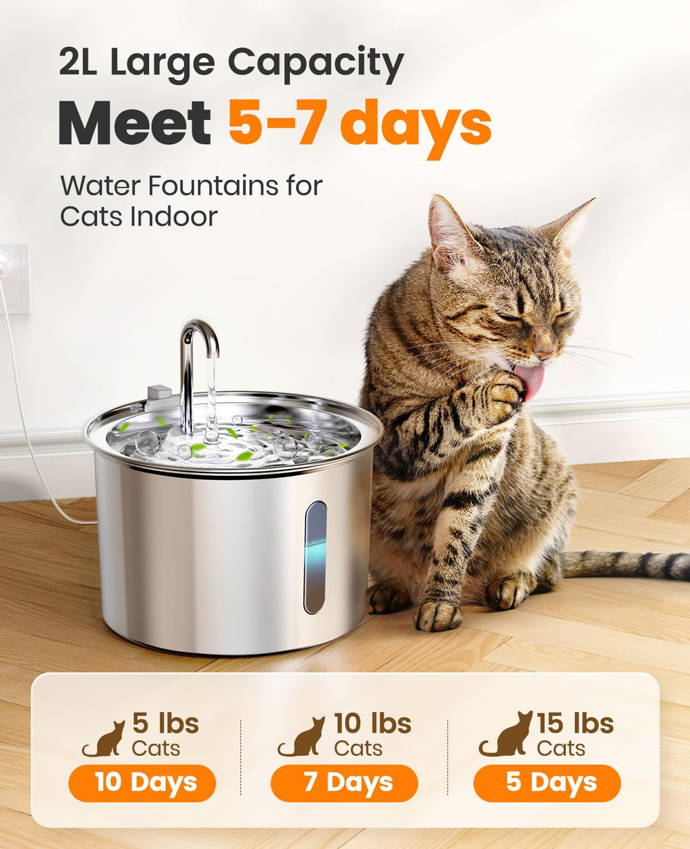 oneisall quiet pump cat water fountain ensures peaceful, low-noise hydration