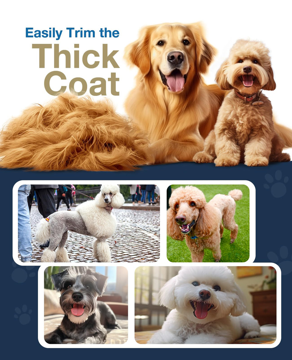 Oneisall dog clippers attachments set reveals ten comb options