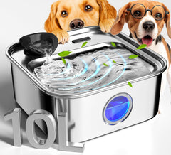 Oneisall dog water fountain 10L capacity highlights large reservoir for long hydration.